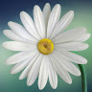 Meet your Posher, Nina